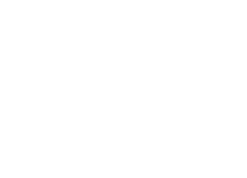 The Soccer Foundation